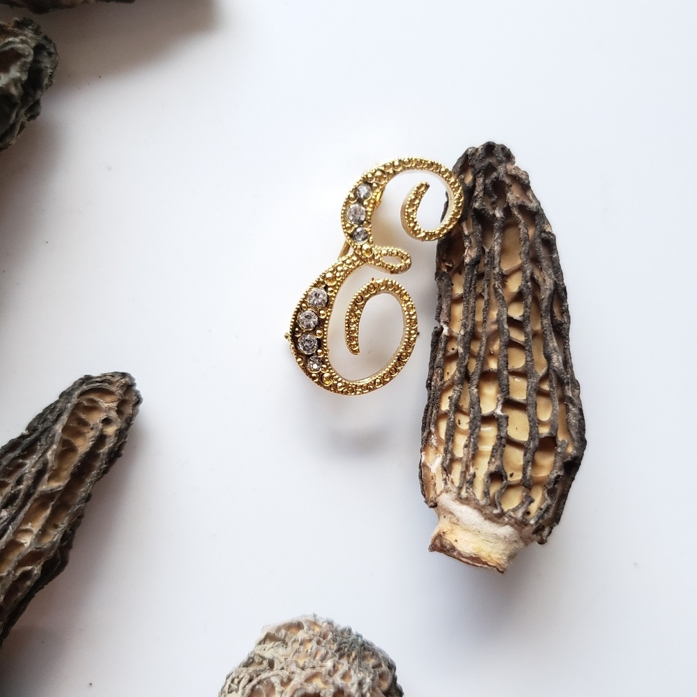 Letter E Golden Rhinestone Initial Pin